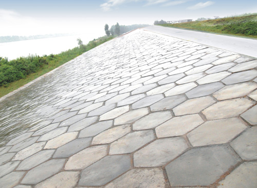 ������Ԥ�ƿ黤�£���������4�꣩